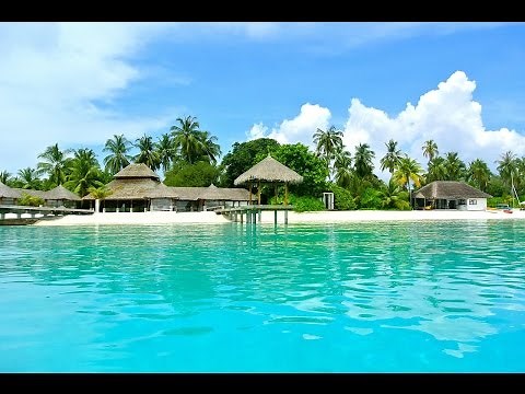 南国の波音高音質小鳥のさえずりが癒されます。睡眠用にどうぞ２時間