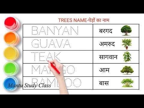 Tree Name | Names of trees | Tree name in English and Hindi | Mantu Study Class