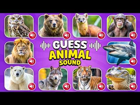 Guess the Animal by Its Sound 🔊🐾 | 30 Animal Sounds Quiz | Knowlio
