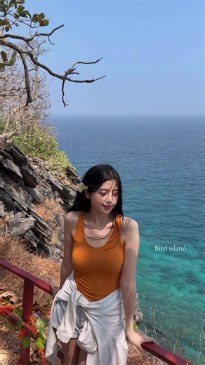 Exploring Bird Island: A Second Visit