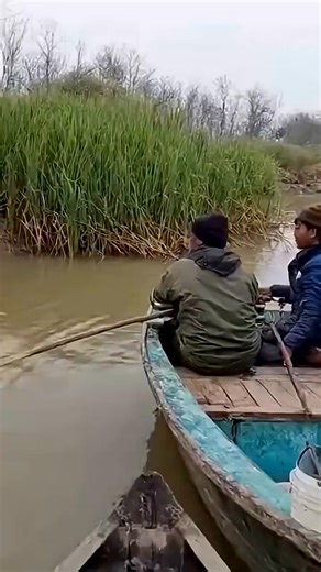2.1K views | Caught on Camera! Tiger Attacks Fishermen’s Boat in Sundarban  #TigerAttack #tigers usa #canada #uk #america #newyork #love #california #australia #instagram #fashion #travel #germany #instagood #facebook #london #photography #europe #chicago #france #florida #miami #trump #unitedstates #art #italy #nyc #texas #losangeles #music #explore | Animal Atack in Emrica | Facebook