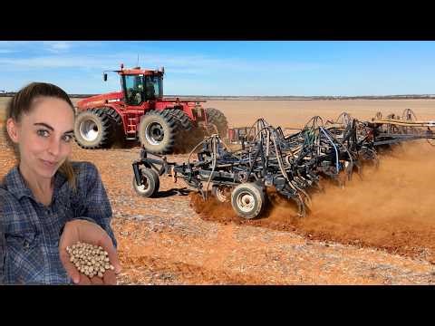 We Haven't Planted This in 25 Years (Here's Why We're Bringing it Back)