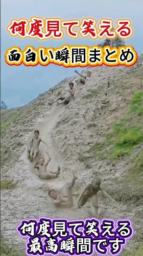 何度見ても笑える面白い瞬間まとめ #面白い #面白集 #おもしろ動画 #爆笑集锦