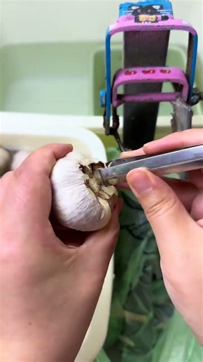 Quick & Easy: Voice-Controlled Garlic Peel + Sleep Aid Guide