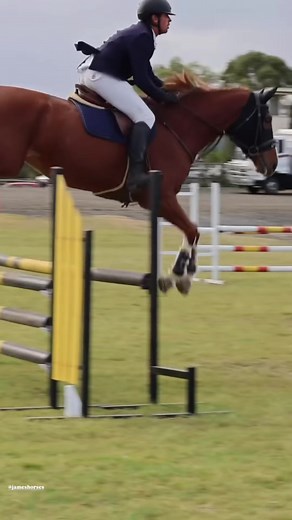 20K views · 168 reactions | Why the average showjumper in Australia...