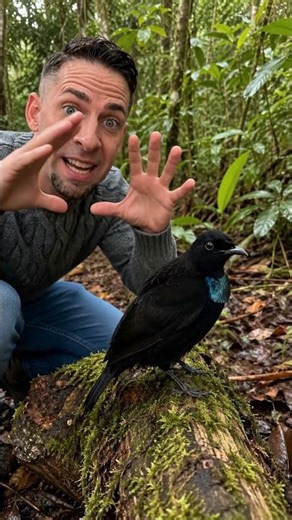 Pensé que era una SOMBRA… pero estaba vivo 😳