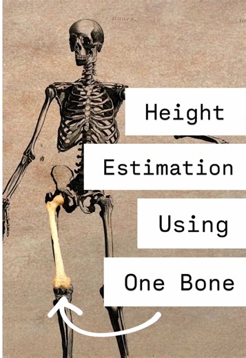 Mildred Trotter: Revolutionizing Forensic Anthropology