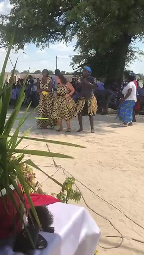 festus graphics on TikTok