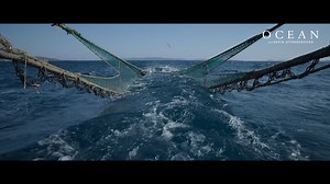 In a world-first, the most detailed, cinematic footage of bottom trawling has been released in the new feature film, "Ocean with David Attenborough". Hidden from public view for decades, this destructive fishing practice is now exposed — showing its devastating impact on marine life and the coastal communities that depend on a healthy ocean. The damage is undeniable. That's why Oceana is campaigning around the world to protect vital ocean habitats from bottom trawling and other harmful fishing p