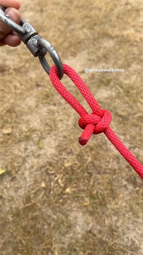 The World Most Famous Knot !