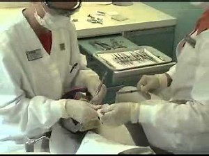 Instrument Transfer for Dental Assistant