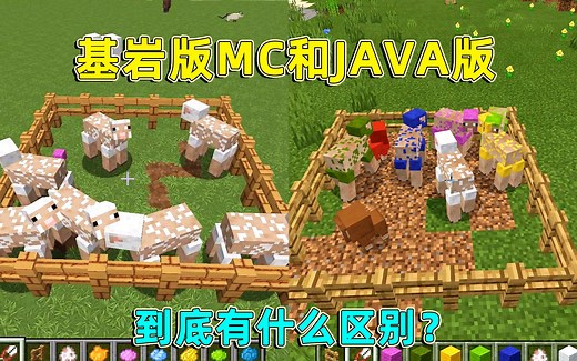 我的世界：基岩版和java版有什么区别？其实基岩版更注意细节！