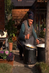 Making Mandarin Marmalade An Easy Recipe.🏘😋🥰🧑🏻‍🍳 | Cooking Family