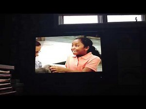 Barney Cats & Dogs Our Furry Friends IMPOSSIBILITY RARE Aisa DVD