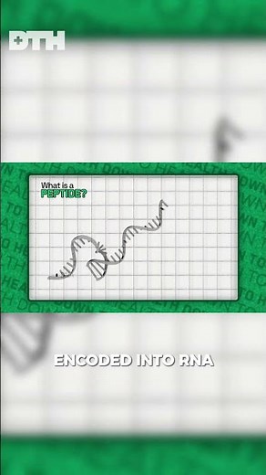 What is a Peptide? Biology 101 Explained! 🧬🤔