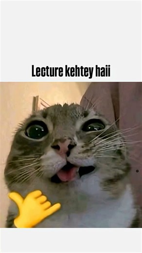 #dogcompilation #funny #dogmemes #pets #cute