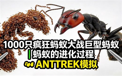[中配]1000只疯狂蚂蚁大战巨型蚂蚁 | 蚂蚁的进化过程 😱 ANTTREK模拟 - AntTrek