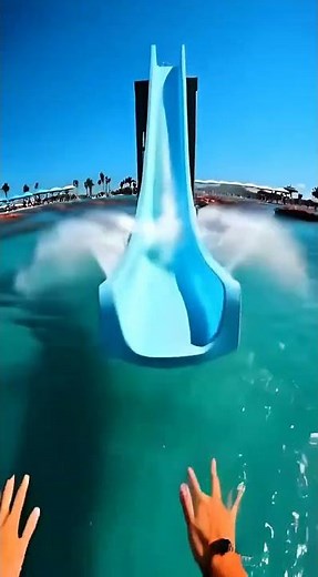 Waterslide into pool of giant fish #funny #memes