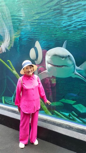 Understanding Shark Attacks: Insights and Prevention