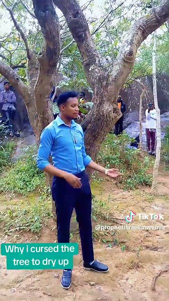 THE TREE YOU CURSED!!! Mark 11:21 This Tree had been a contact point of distraction to our prayers everytime we used to come at the mountain 🏔️. Snakes and Lizards used to fall from the same tree even bees Out of Spiritual anger that the distraction it was bringing, the prophet of God, Prophet Israel J Mwenya cursed the tree last year December, and it has completely dried up from the roots according to the word the prophet spake. eagle one