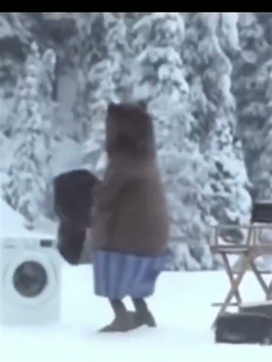 bear cleaning its fur in the washing machine (meme) #memes #funny
