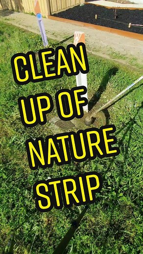 Stihl Kombi Engine KM 94 RC - Line Trimmer Attachment in Action