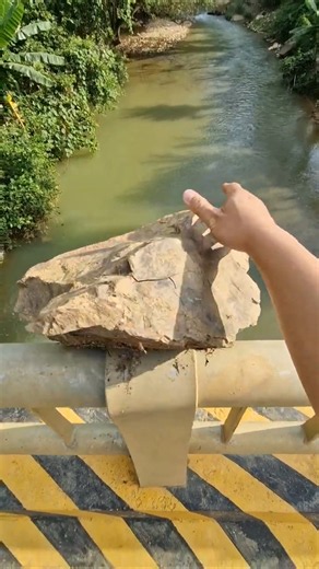 What happens when you throw a stone into water? #vividsound