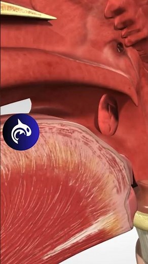 See what Strep Throat looks like in 3D 🦠