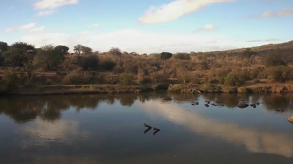 African Safari Camera LIVE | Explore.org