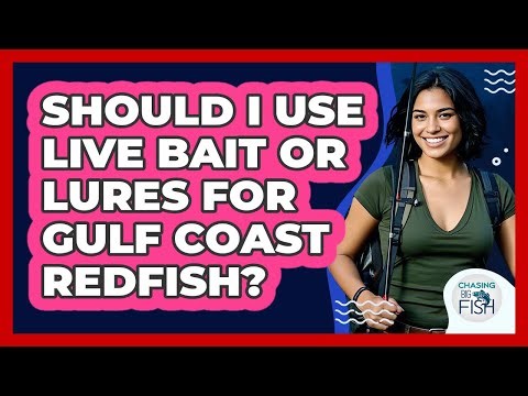 Should I Use Live Bait Or Lures For Gulf Coast Redfish? - Chasing Big Fish