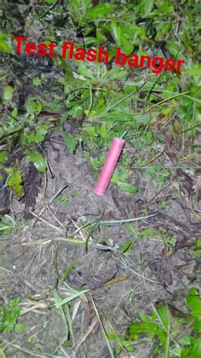 Test flash banger #boom #fireworks #pyrotechnica #petard #pyro #petardy