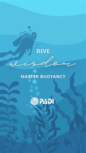 Mastering Buoyancy for Confident Diving
