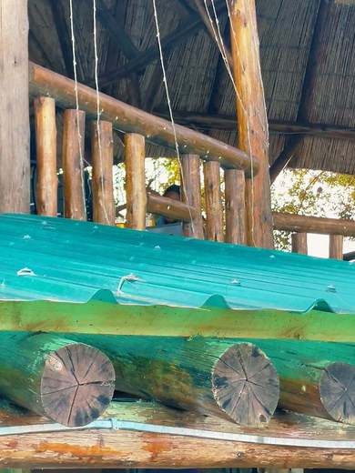 Diane drc modeling on Reels