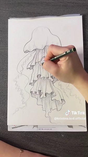 Qualle zeichnen lernen für Anfänger