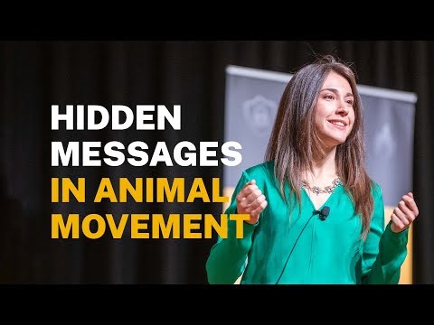 Hidden messages: What movements reveal about animals’ lives | POP Talks