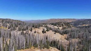 The Hunt For $1 Billion In Lost Spanish Gold Hidden In Utah