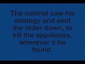 Heart of the Appaloosa