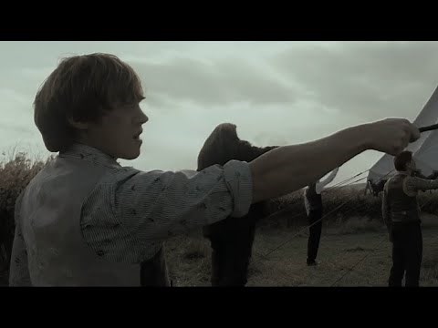 Ron Weasley // Deathly Hallows PT1 scenepack