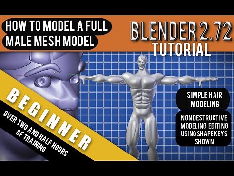 How To Model A Full 3d Human Male Mesh in Blender 2.72b