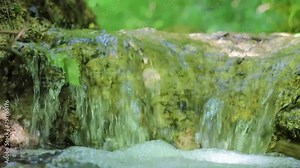 Closeup Small Cascading Fall of a Mountain Stream in a Forest. Slow Motion