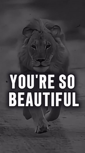 2.7K views · 15K reactions | Check out my new books    The God Who Stays → https://www.amazon.com/dp/B0FP1MW5ZR  Never Alone → https://www.amazon.com/dp/B0FNW4VX5L Get your copy… .. link in bio Listen, you’re so beautiful… #motivational #motivationalquotes #motivationoftheday #quotes #foryou #fyp #uk #motivationalvideo #successmindset | Zotivation | Facebook