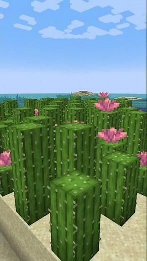 #AD Let's recap the 1.21.5 Spring drop features!