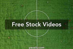 Running Athlete Videos, Download The BEST Free 4k Stock Video Footage & Running Athlete HD Video Clips