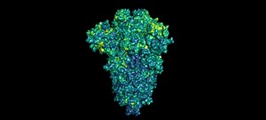 71K views · 2K reactions | A powerful new tool can predict the mutations that allow viruses, like #SARSCoV2, to “escape” human immunity or vaccines, a new Science study finds. The research represents a promising conceptual bridge between natural language and viral evolution. https://fcld.ly/tdq977m | Science | Facebook
