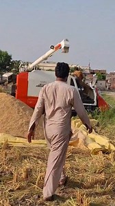 33K views · 355 reactions | کبوٹا مشینوں سے کٹائی میں فائدہ ہی فائدہ #season202526 #rice #paddy | Rice Library Pakistan | Facebook