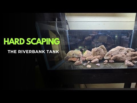 Setting up the hardscape in my 20-gallon aquarium