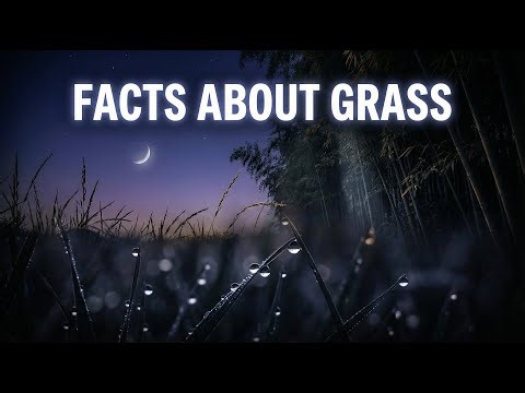 Relaxing History and Science | Incredible Facts About Grass You Never Knew