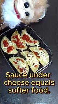 Taco Shell Sandwiches, Food Recipe Invention by Celebrity Chef Mister Monkey