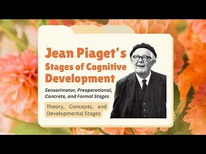 Piaget’s Cognitive Stages: Sensorimotor, Preoperational, and More | Developmental Psychology