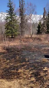 Another grass fire in the Mat-Su Valley today as a result of an escaped burn pile that spread to dry grass. Fanned by a breeze, the fire burned approximately 1 acre and threatened nearby homes and structures before it was brought under control by firefighters from the Butte Volunteer Fire Department and Alaska Division of Forestry. You can see it this short video clip how close the fire came to homes, structures and vehicles. You can also see how much dry, exposed grass there is to burn in that 